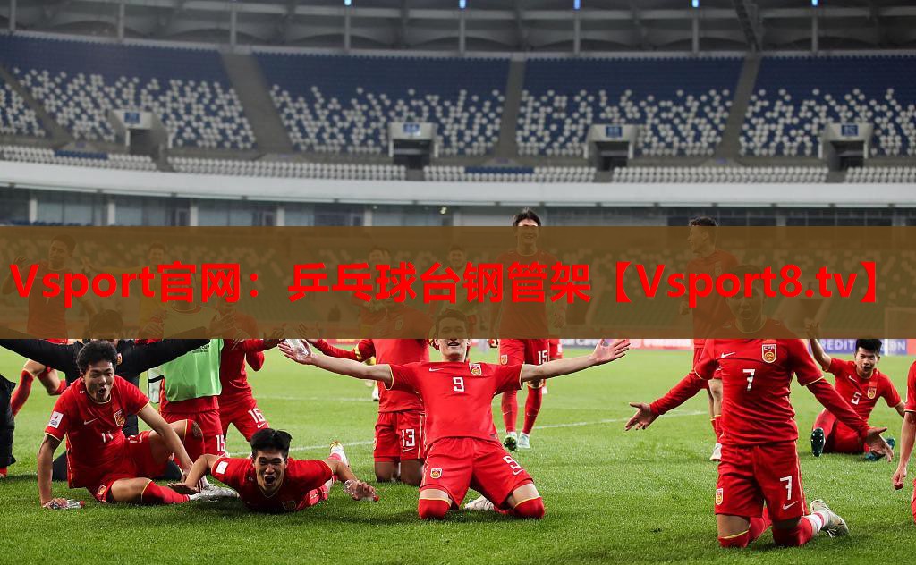 Vsport官网：乒乓球台钢管架
