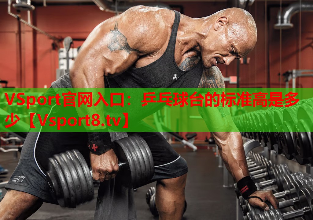 VSport官网入口：乒乓球台的标准高是多少