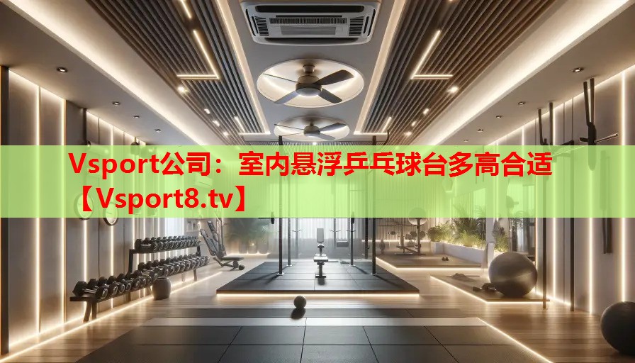 Vsport公司：室内悬浮乒乓球台多高合适