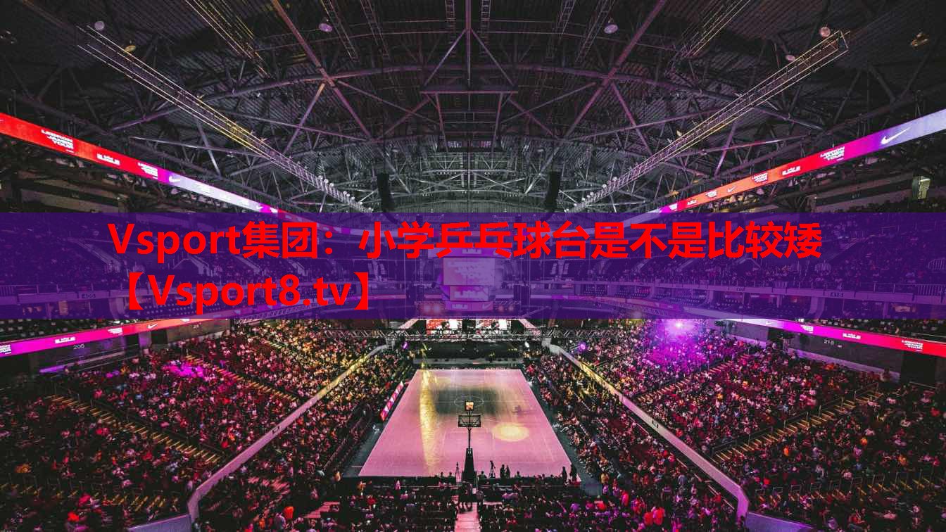 Vsport集团：小学乒乓球台是不是比较矮