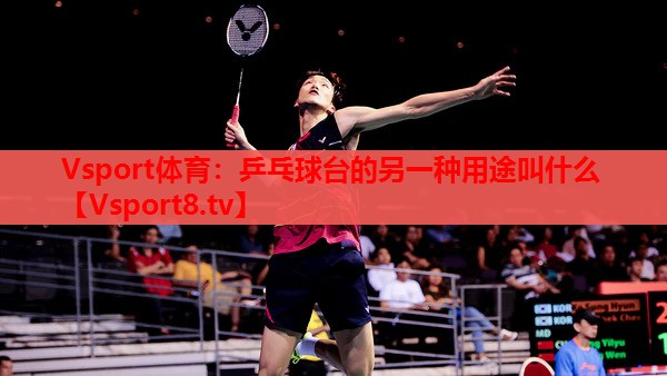 Vsport体育：乒乓球台的另一种用途叫什么