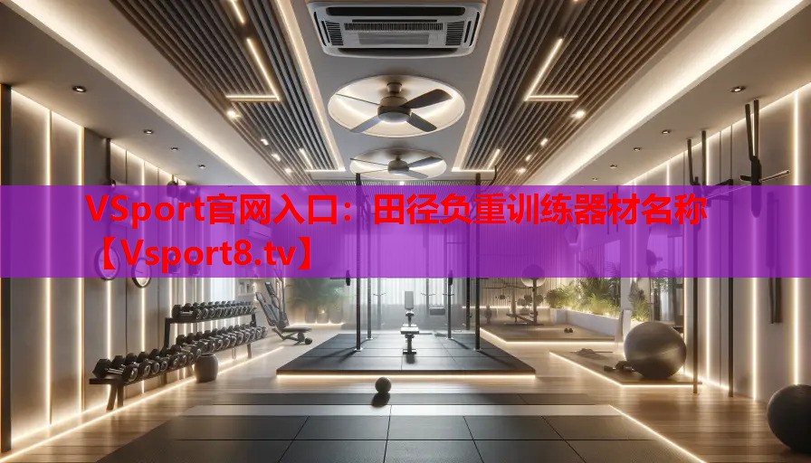VSport官网入口：田径负重训练器材名称