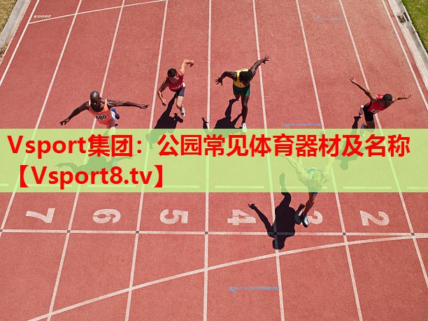 Vsport集团：公园常见体育器材及名称