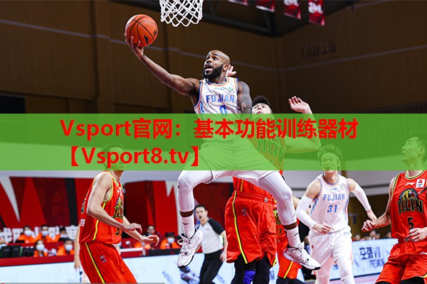 Vsport官网：基本功能训练器材