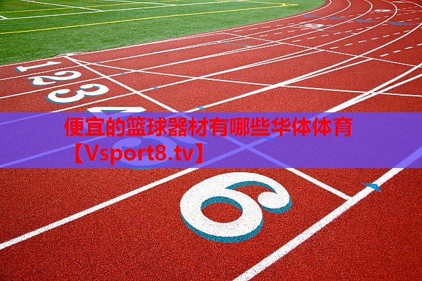 便宜的篮球器材有哪些华体体育