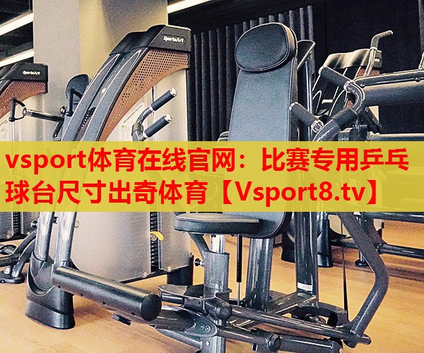 vsport体育在线官网：比赛专用乒乓球台尺寸出奇体育