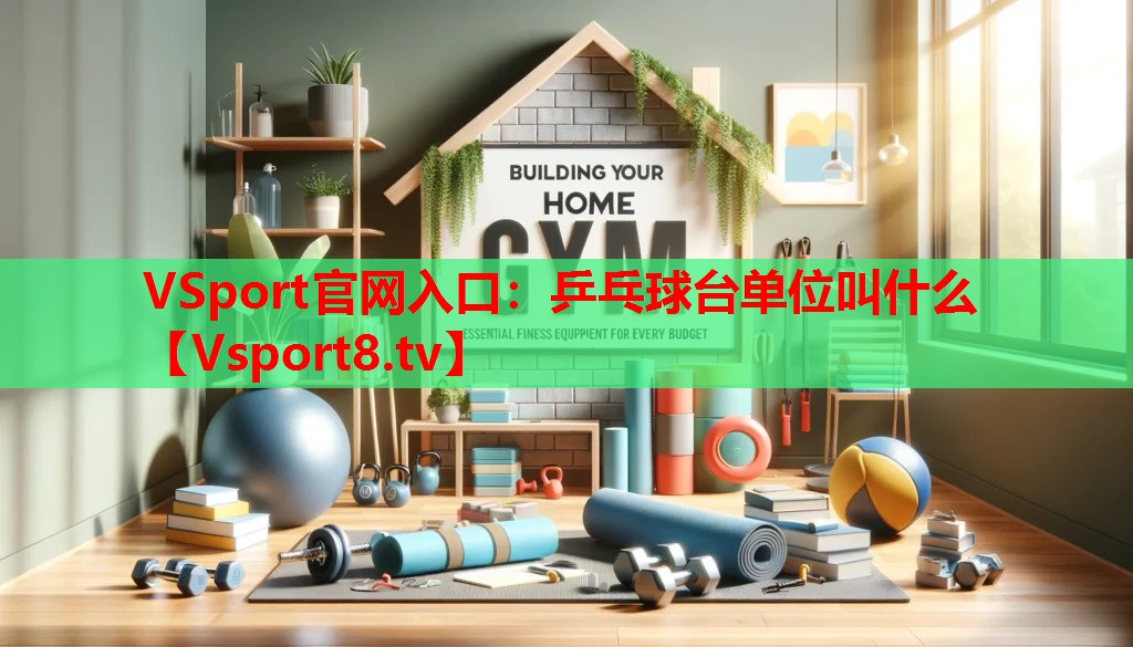 VSport官网入口：乒乓球台单位叫什么