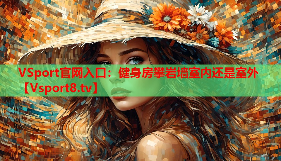 VSport官网入口：健身房攀岩墙室内还是室外