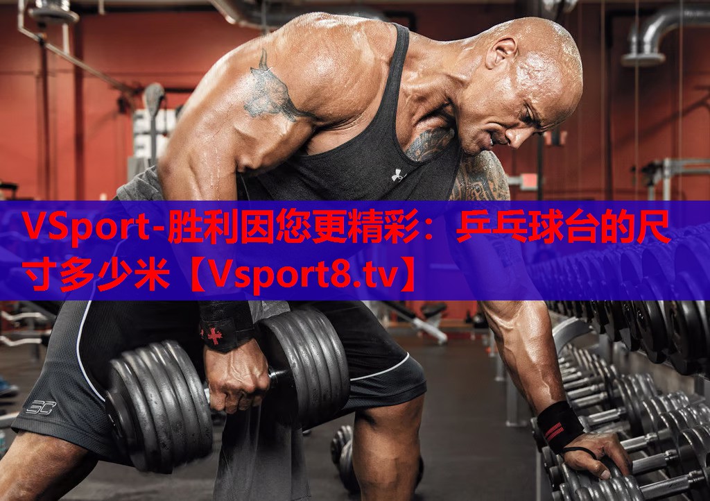 VSport-胜利因您更精彩：乒乓球台的尺寸多少米