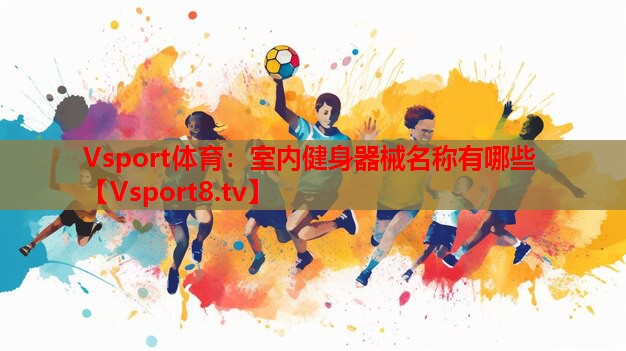 Vsport体育：室内健身器械名称有哪些