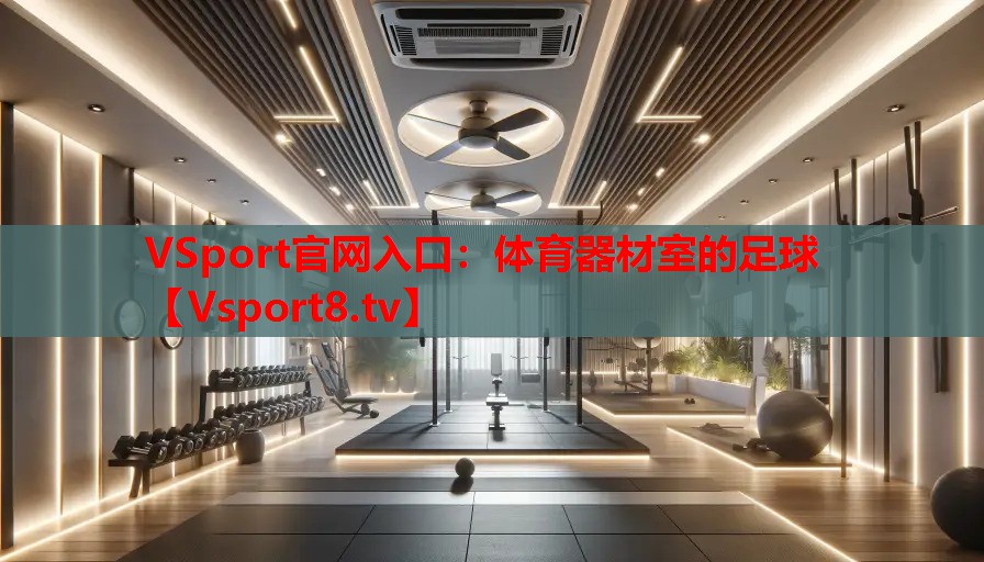 VSport官网入口：体育器材室的足球