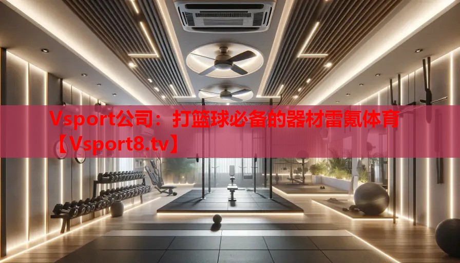Vsport公司：打篮球必备的器材雷氪体育