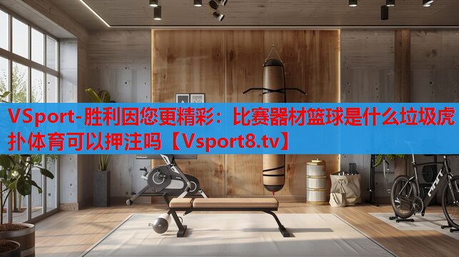 VSport-胜利因您更精彩：比赛器材篮球是什么垃圾虎扑体育可以押注吗