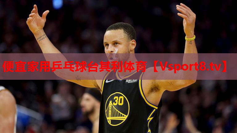 便宜家用乒乓球台其利体育
