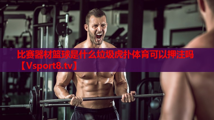 比赛器材篮球是什么垃圾虎扑体育可以押注吗