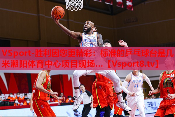 VSport-胜利因您更精彩：标准的乒乓球台是几米潮阳体育中心项目现场…