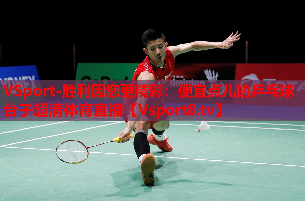 VSport-胜利因您更精彩：便宜点儿的乒乓球台子超清体育直播