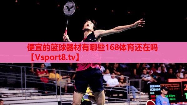 便宜的篮球器材有哪些168体育还在吗