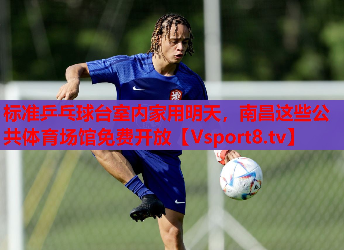 标准乒乓球台室内家用明天，南昌这些公共体育场馆免费开放