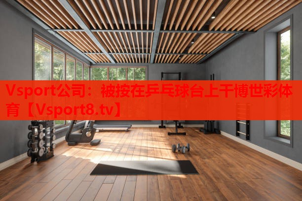 Vsport公司：被按在乒乓球台上干博世彩体育