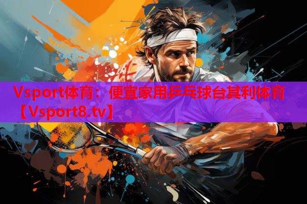 Vsport体育：便宜家用乒乓球台其利体育