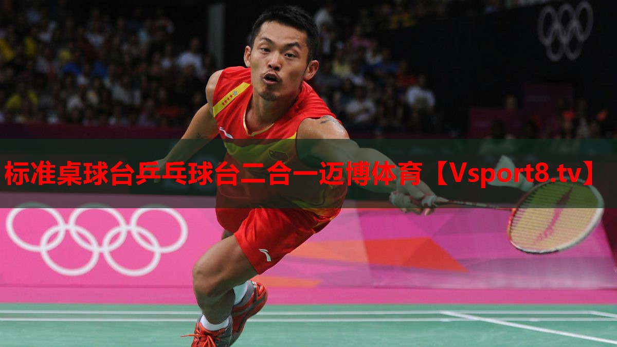 标准桌球台乒乓球台二合一迈博体育