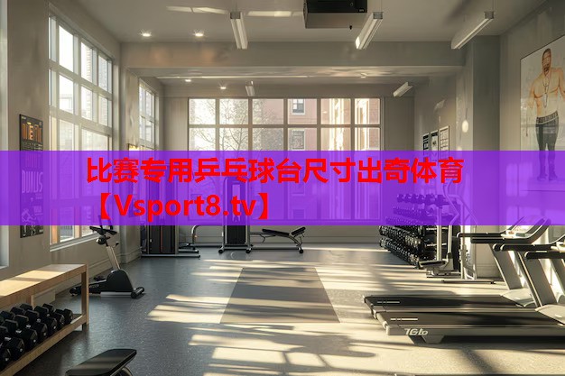 比赛专用乒乓球台尺寸出奇体育
