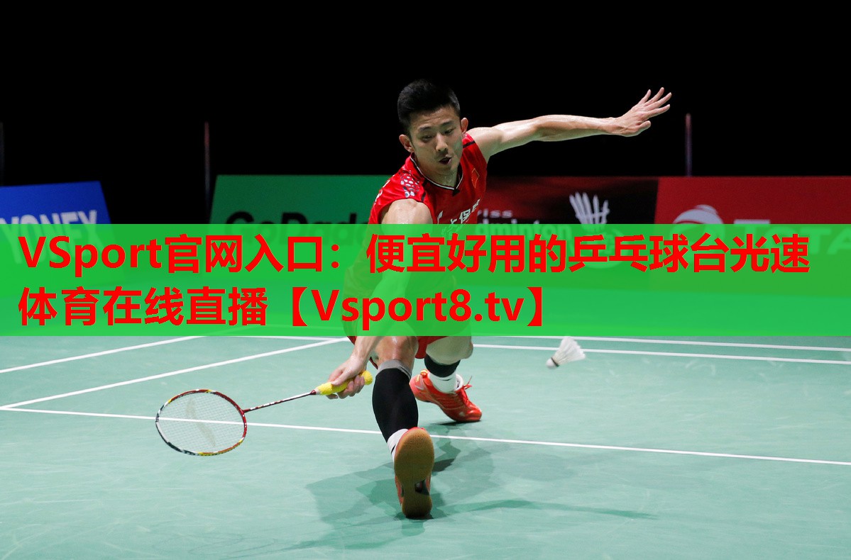 VSport官网入口：便宜好用的乒乓球台光速体育在线直播