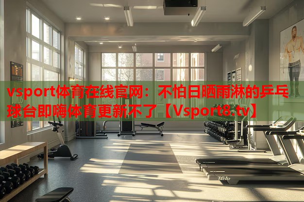 vsport体育在线官网：不怕日晒雨淋的乒乓球台即嗨体育更新不了