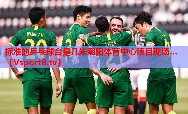 标准的乒乓球台是几米潮阳体育中心项目现场…