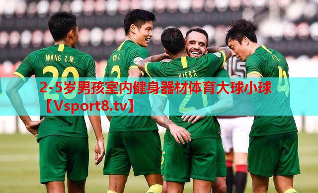 2-5岁男孩室内健身器材体育大球小球