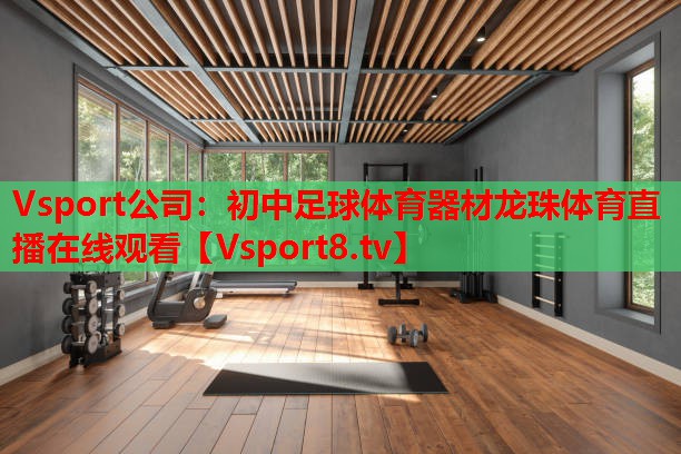 Vsport公司：初中足球体育器材龙珠体育直播在线观看