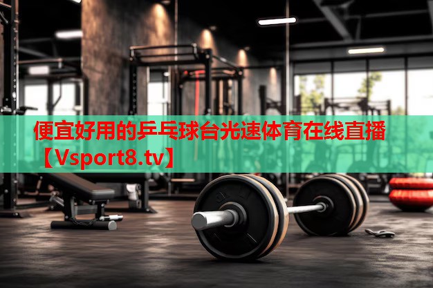 便宜好用的乒乓球台光速体育在线直播