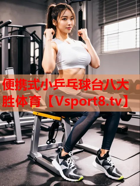 便携式小乒乓球台八大胜体育