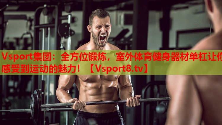 Vsport集团：全方位锻炼，室外体育健身器材单杠让你感受到运动的魅力！