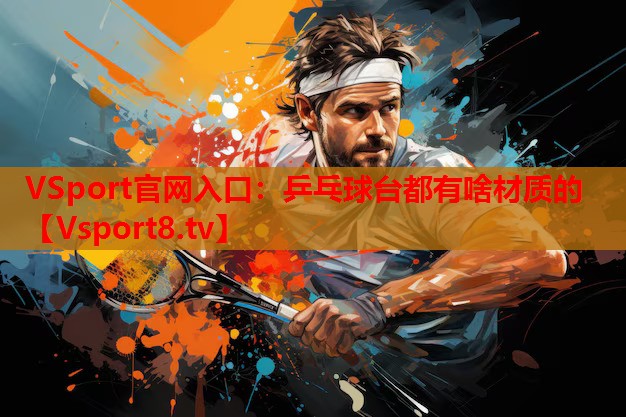 VSport官网入口：乒乓球台都有啥材质的