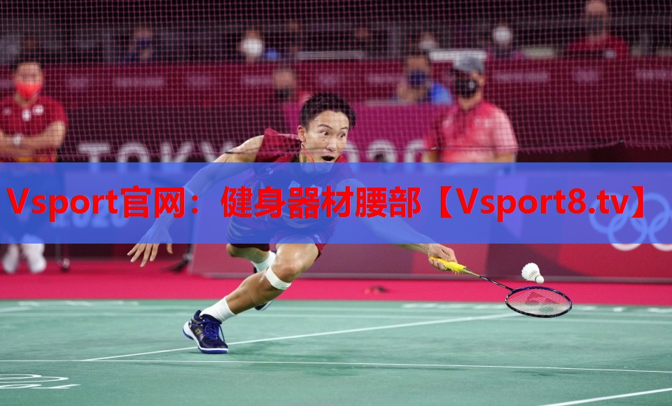 <strong>Vsport官网：健身器材腰部</strong>
