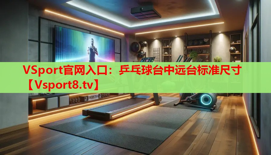 乒乓球台中远台标准尺寸
