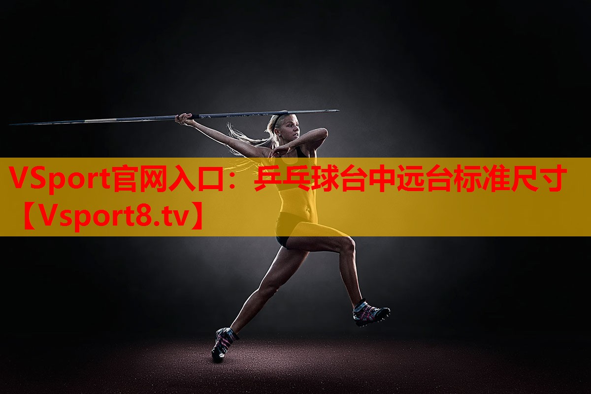 乒乓球台中远台标准尺寸