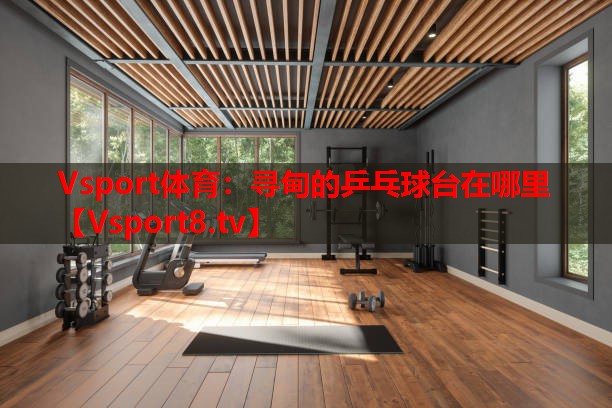 寻甸的乒乓球台在哪里