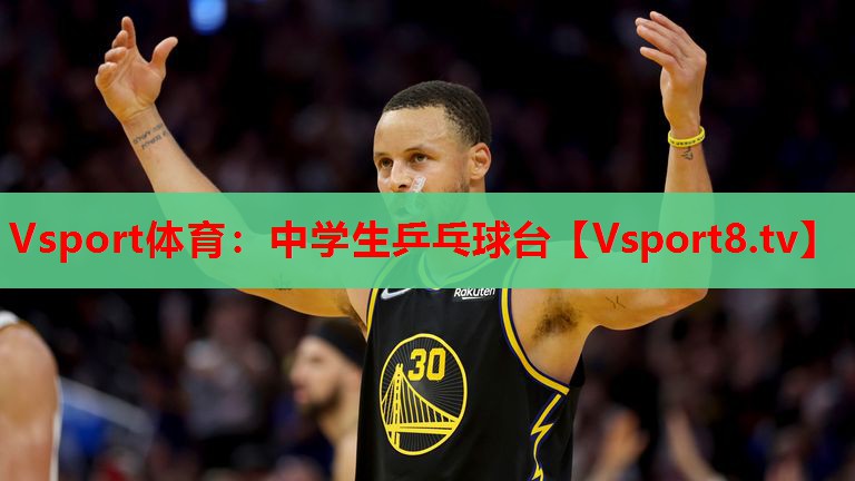 中学生乒乓球台