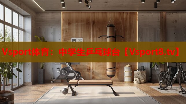 中学生乒乓球台