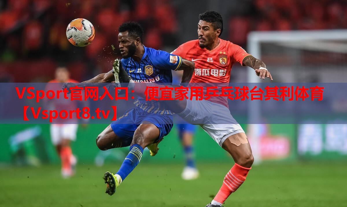VSport官网入口：便宜家用乒乓球台其利体育
