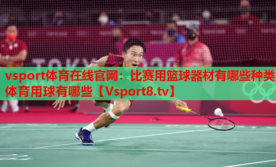 vsport体育在线官网：比赛用篮球器材有哪些种类体育用球有哪些