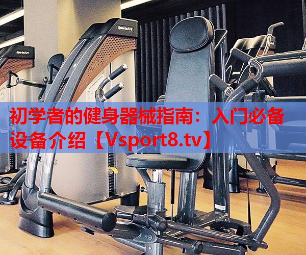初学者的健身器械指南：入门必备设备介绍