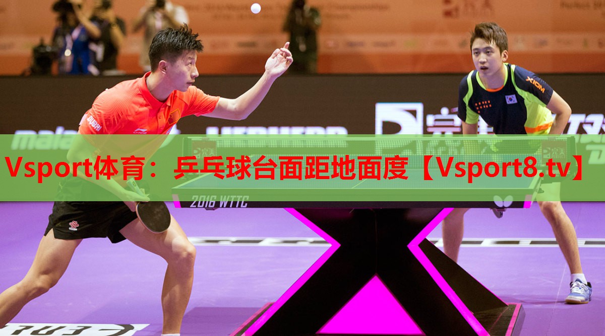 Vsport体育：乒乓球台面距地面度