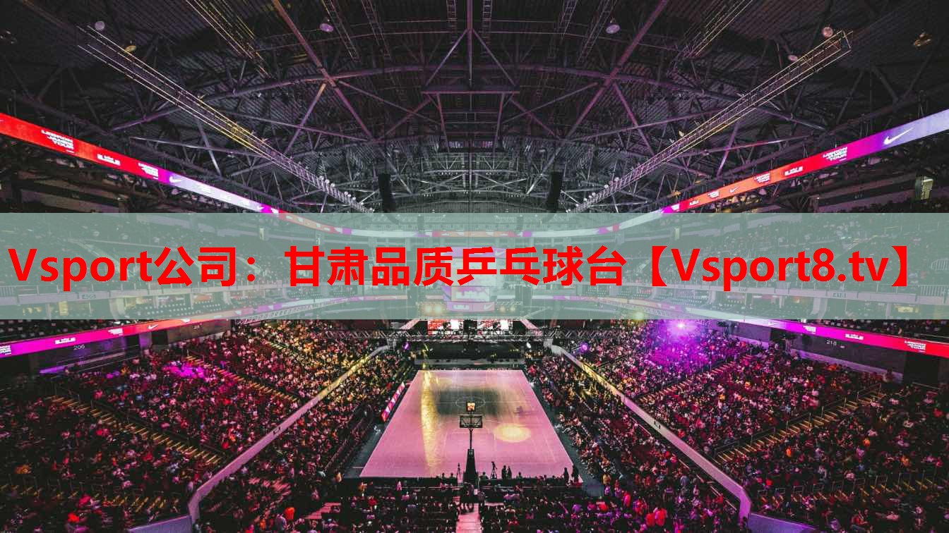 Vsport公司：甘肃品质乒乓球台