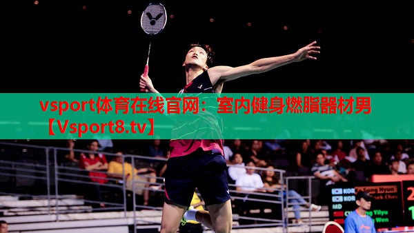 vsport体育在线官网：室内健身燃脂器材男