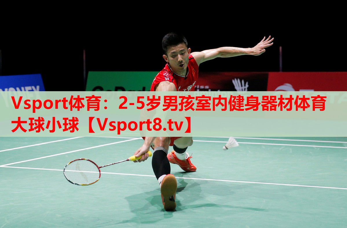 Vsport体育：2-5岁男孩室内健身器材体育大球小球