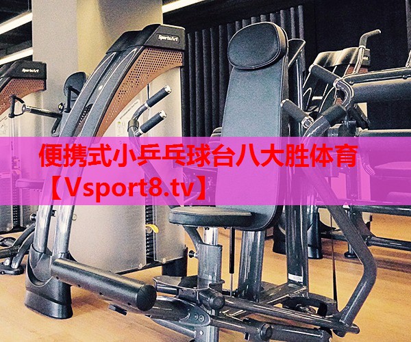 便携式小乒乓球台八大胜体育